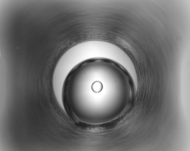 X0000089410452200706221138