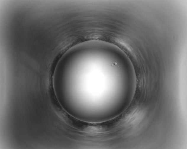 X0000089410455200706221138