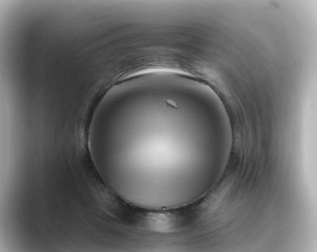 X0000089410457200706221138