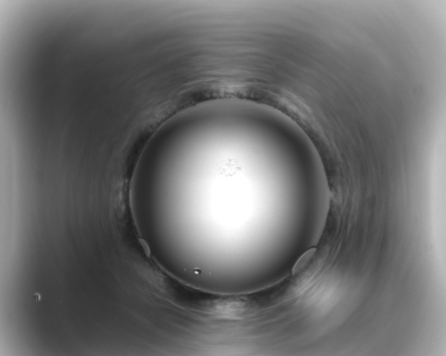 X0000089410462200706221138