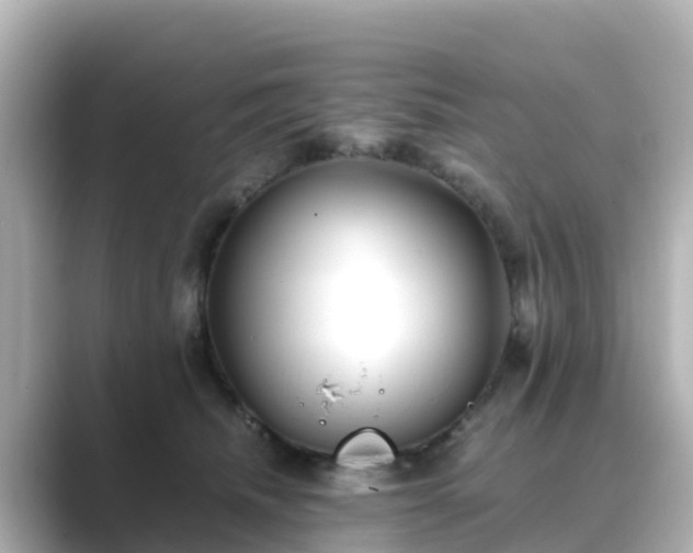 X0000089410468200706221138