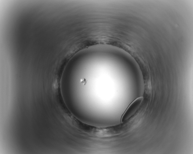 X0000089410472200706221138