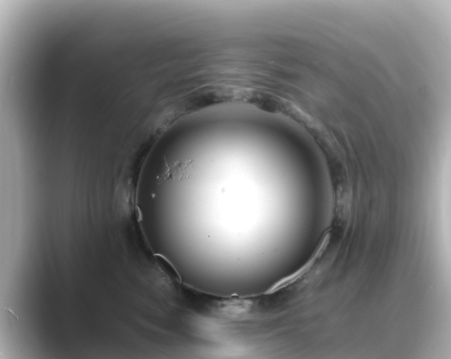 X0000089410474200706221138