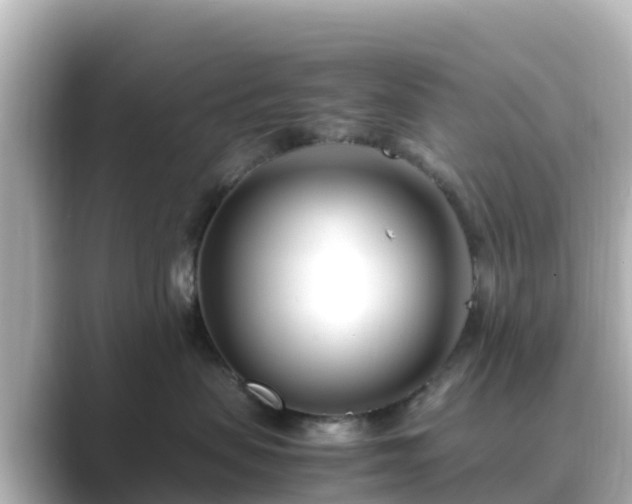 X0000089410479200706221138