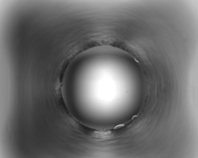 X0000089410480200706221138