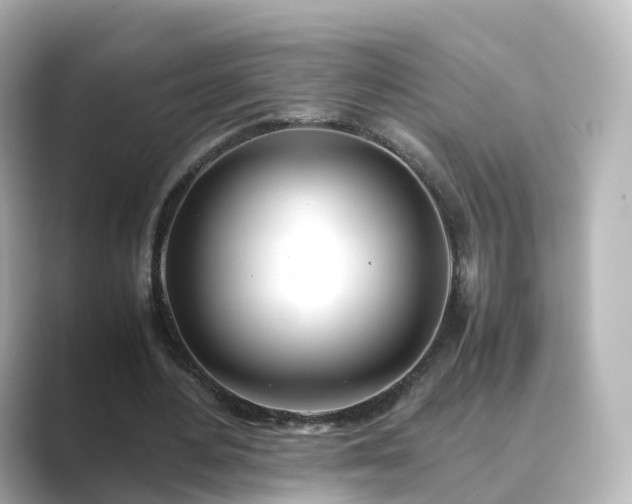 X0000089410484200706221138