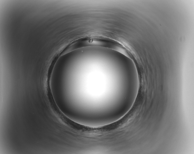 X0000089410485200706221138