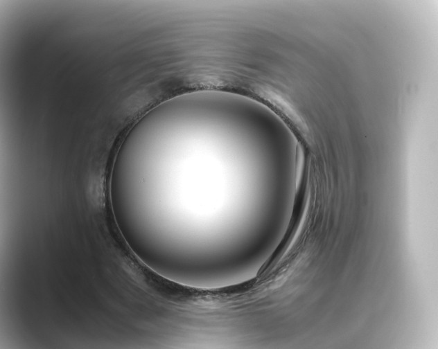 X0000089410489200706221138