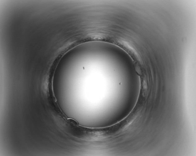 X0000089410492200706221138