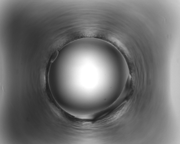 X0000089410493200706221138