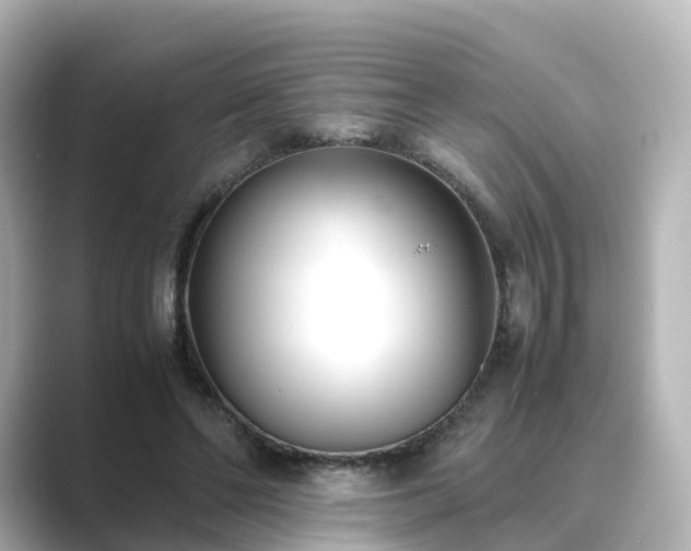 X0000089410494200706221138