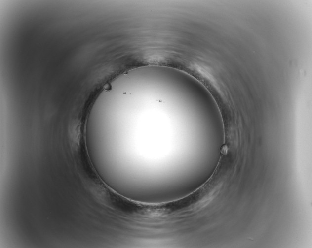 X0000089410495200706221138