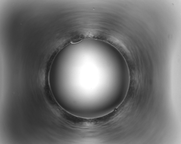 X0000089410496200706221138