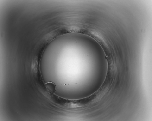 X0000089410498200706221138