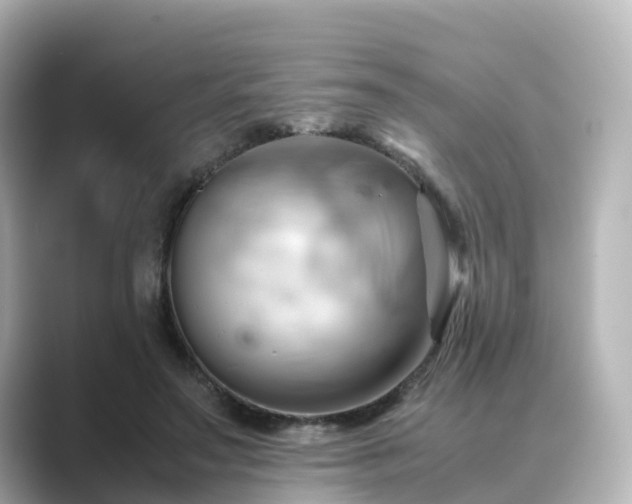 X0000089410499200706221138