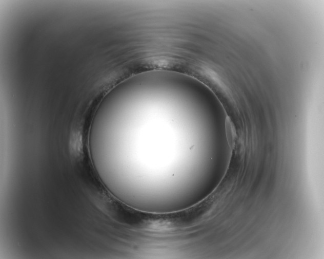 X0000089410500200706221138