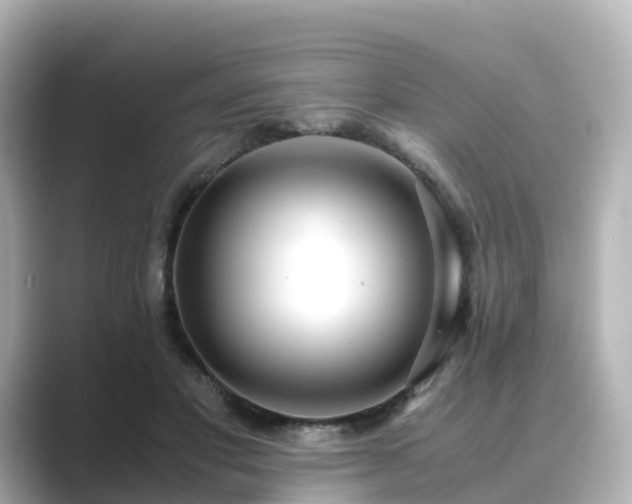 X0000089410501200706221138