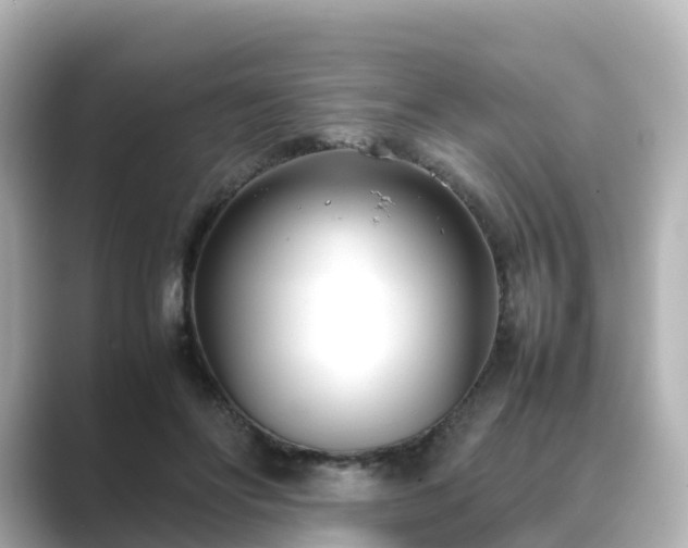 X0000089410502200706221138