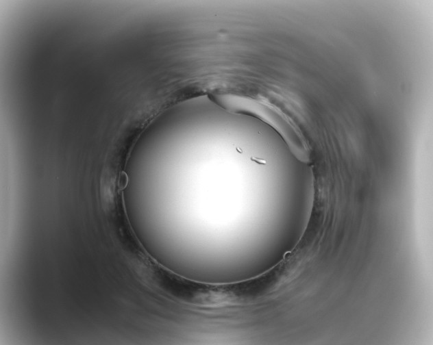 X0000089410503200706221138