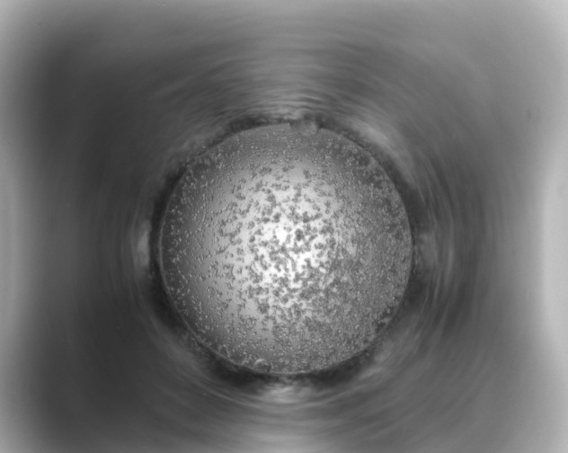 X0000089410504200706221138