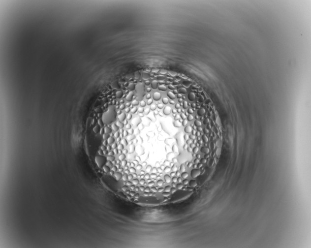 X0000089410507200706221138