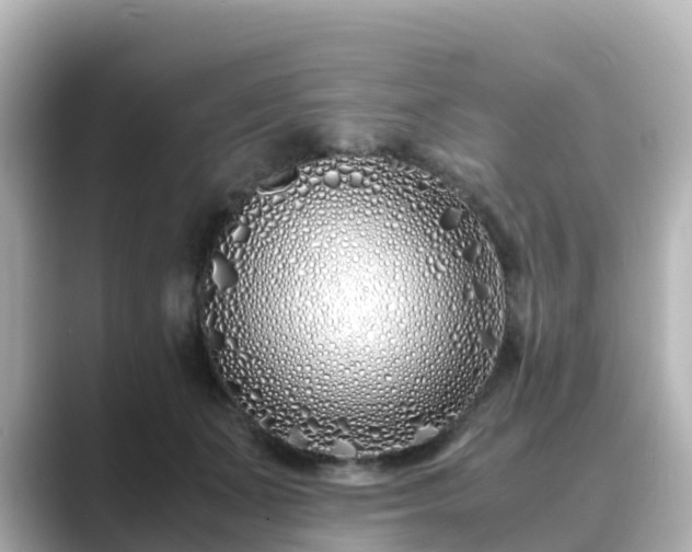X0000089410511200706221138