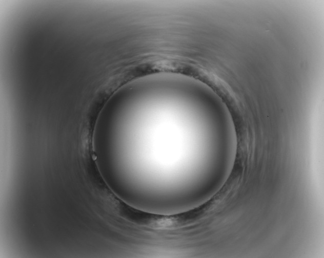 X0000089410513200706221138