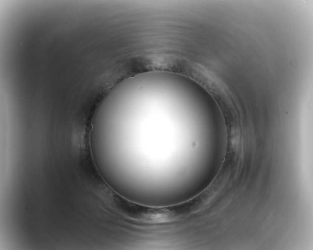 X0000089410514200706221138