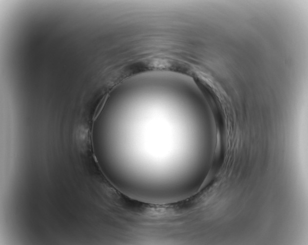 X0000089410521200706221137