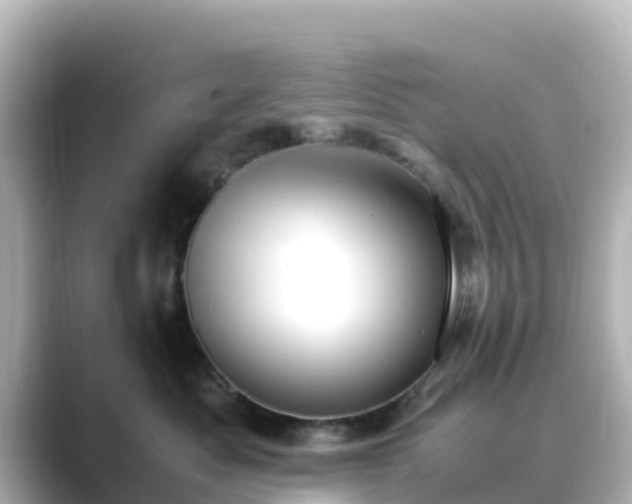 X0000089410525200706221137