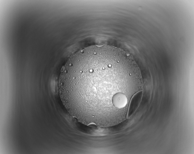 X0000089410527200706221137