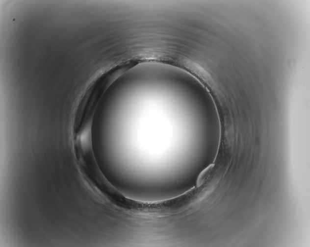 X0000089410530200706221137