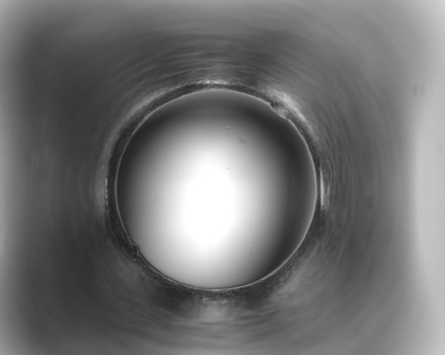X0000089410531200706221137