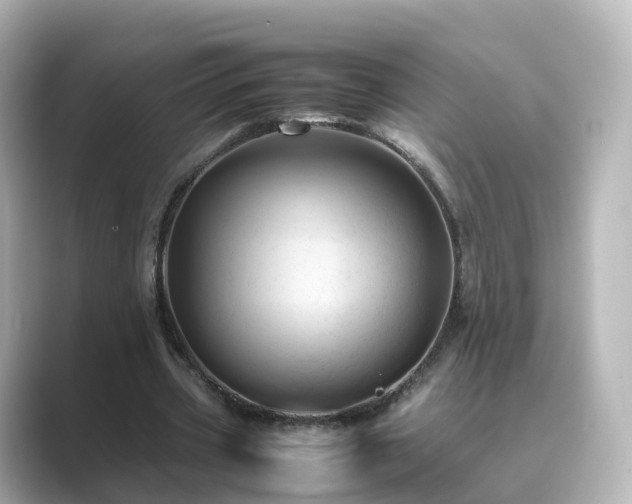 X0000089410533200706221137