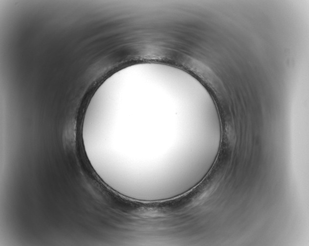 X0000089410534200706221137