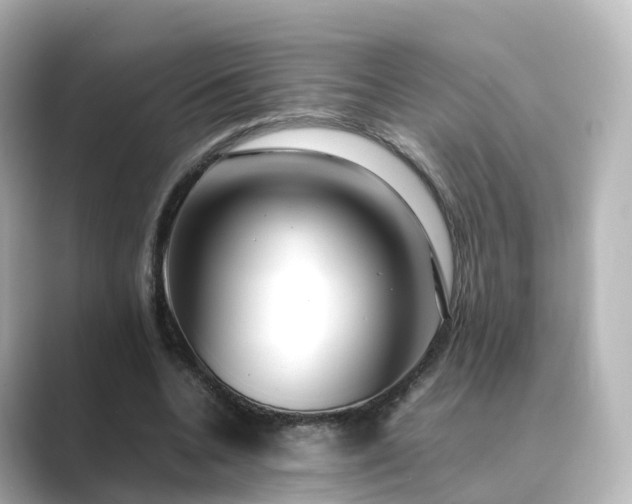 X0000089410536200706221137