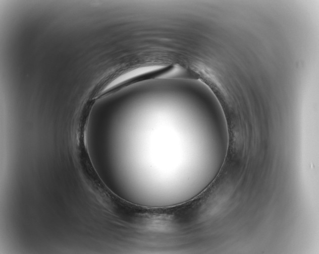 X0000089410539200706221137