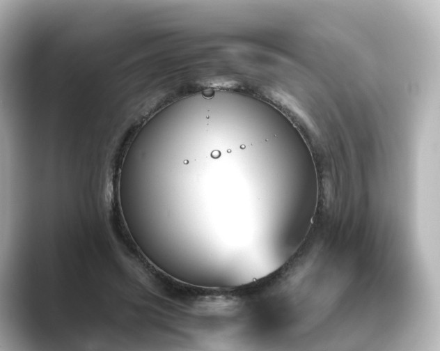 X0000089410541200706221137