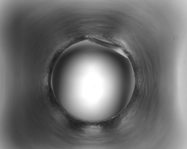 X0000089410543200706221137