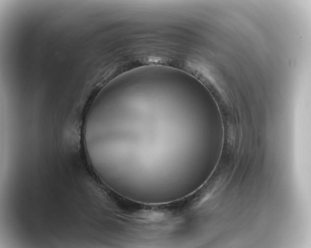 X0000089410545200706221137