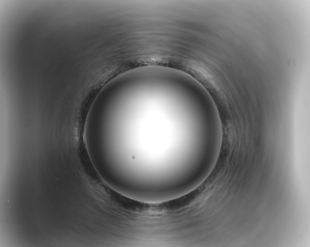 X0000089410546200706221137