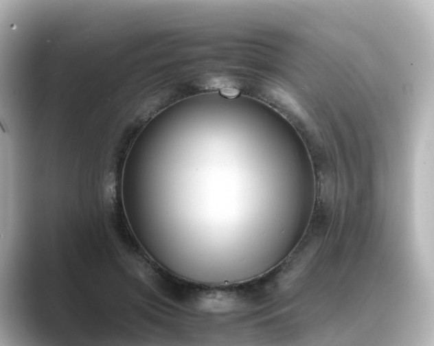 X0000089410549200706221137