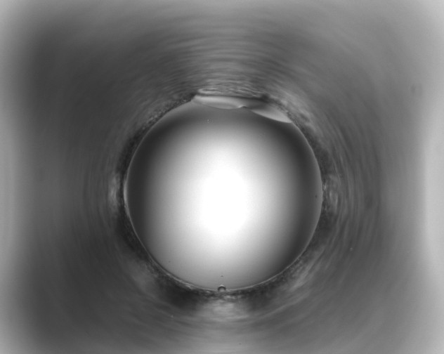 X0000089410550200706221137