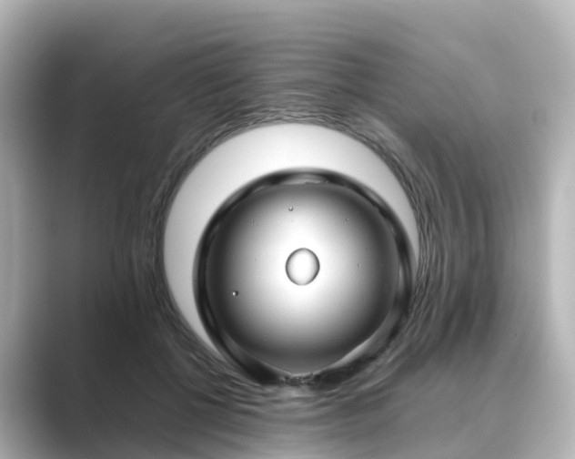 X0000089410552200706221137