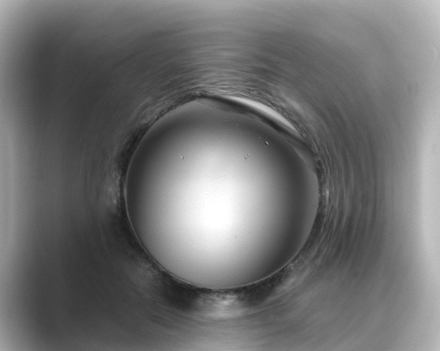 X0000089410554200706221137