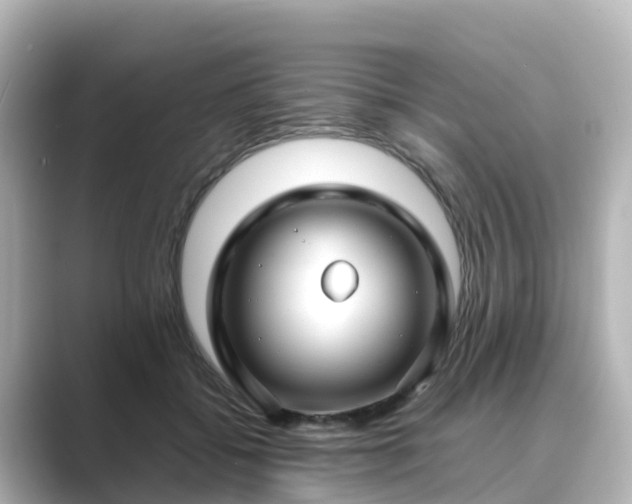 X0000089410556200706221137