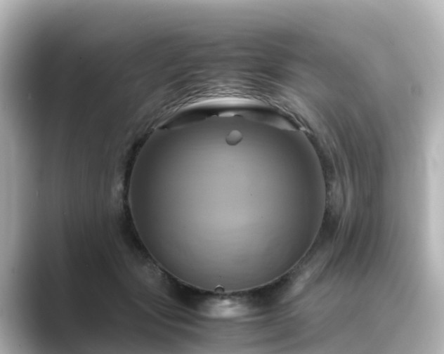 X0000089410557200706221137
