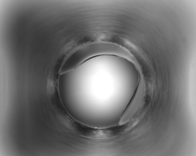 X0000089410558200706221137
