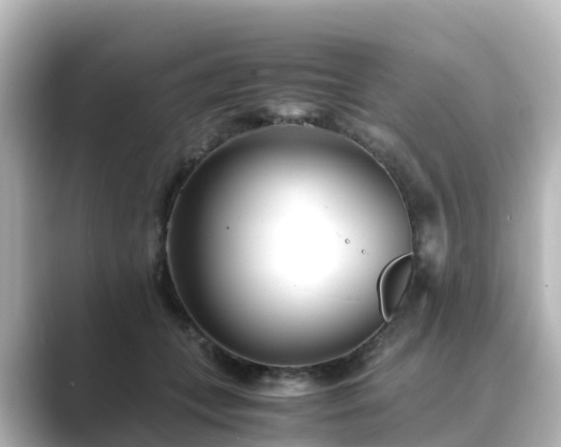 X0000089410559200706221137