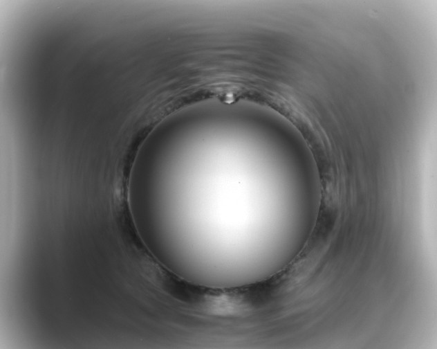 X0000089410561200706221137